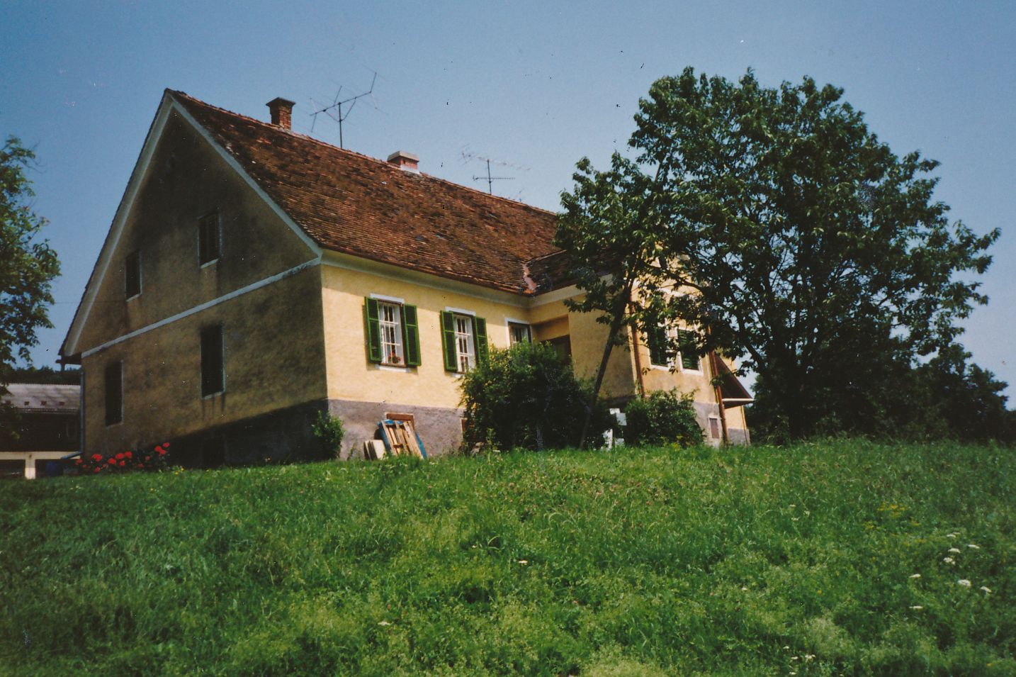 eika image